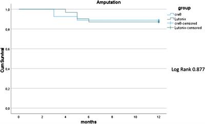 One-year outcomes following primary stenting of infrapopliteal steno-occlusive arterial disease using a non-polymer sirolimus-eluting stent: Results from a prospective single-centre cohort study